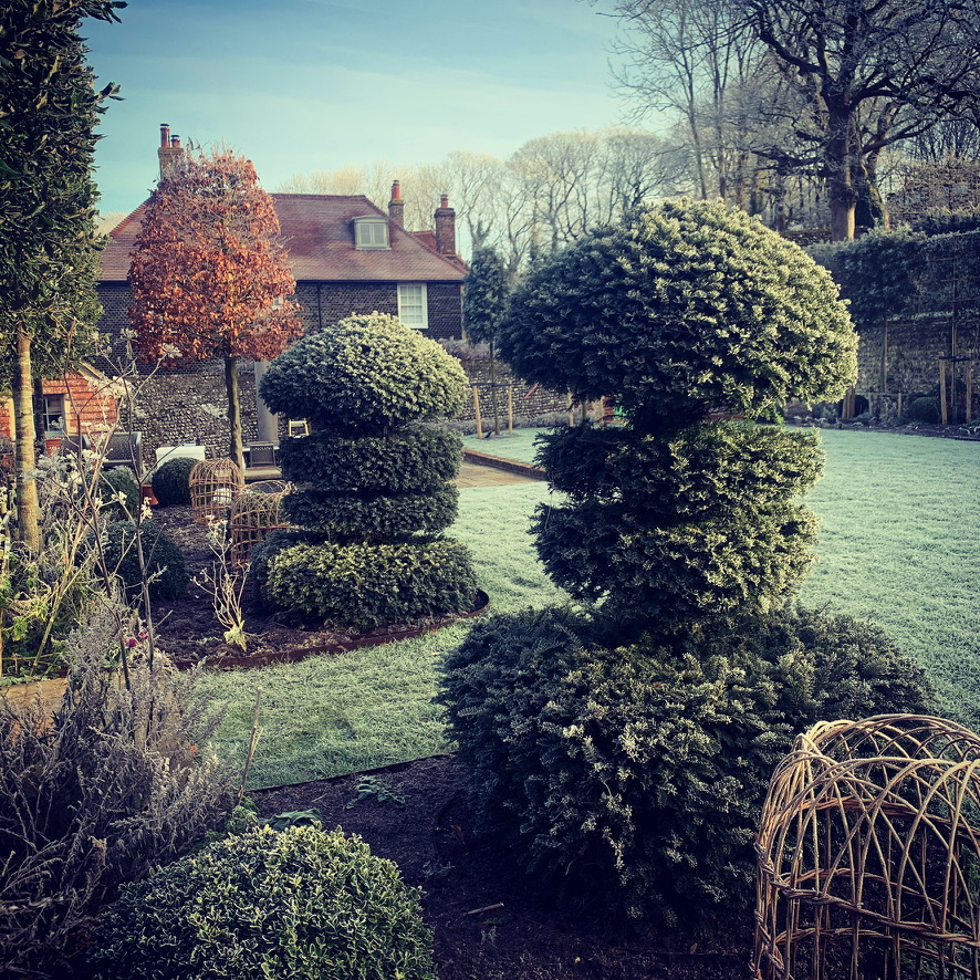 Modern Nature Studio — Sussex garden in winter